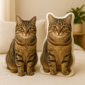 Custom Cat Pillow: Personalized Pet Pillow From Photo, Cat Memorial Gift, Custom Plushie