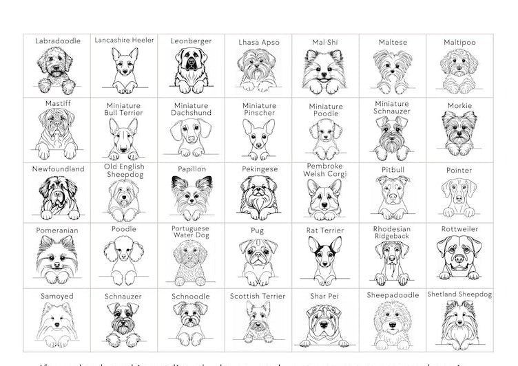 Personalised Dog Walker Ornament | Christmas Gift | Pet Bauble | Stocking Filler | Keepsake