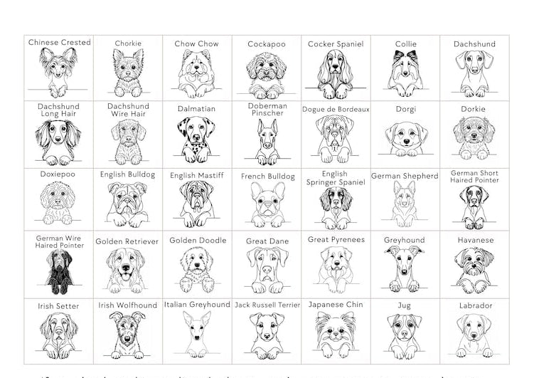 Personalised Dog Walker Ornament | Christmas Gift | Pet Bauble | Stocking Filler | Keepsake