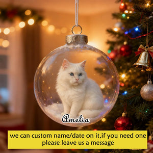 Personalized 2D/3D Animals Xmas Acrylic Ornaments-Cat/Fox/Deer/Cow/Bunny/Bear/Squirrel,Christmas Balls with Snow Scene,Christmas Tree Decor