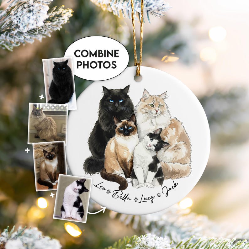 Personalized Multiple Cats Picture Christmas Ornament, Custom Cat Ornament 2025 Using Pet's Photo + Name, Cat Memorial Ornament