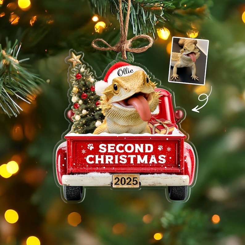 Custom Pet's First Christmas Ornament, Pet Photo Ornament, Dog's 1st Christmas Ornament, Puppy Ornament, Pet Lover Gift, Christmas Decor