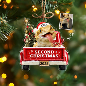 Custom Pet's First Christmas Ornament, Pet Photo Ornament, Dog's 1st Christmas Ornament, Puppy Ornament, Pet Lover Gift, Christmas Decor