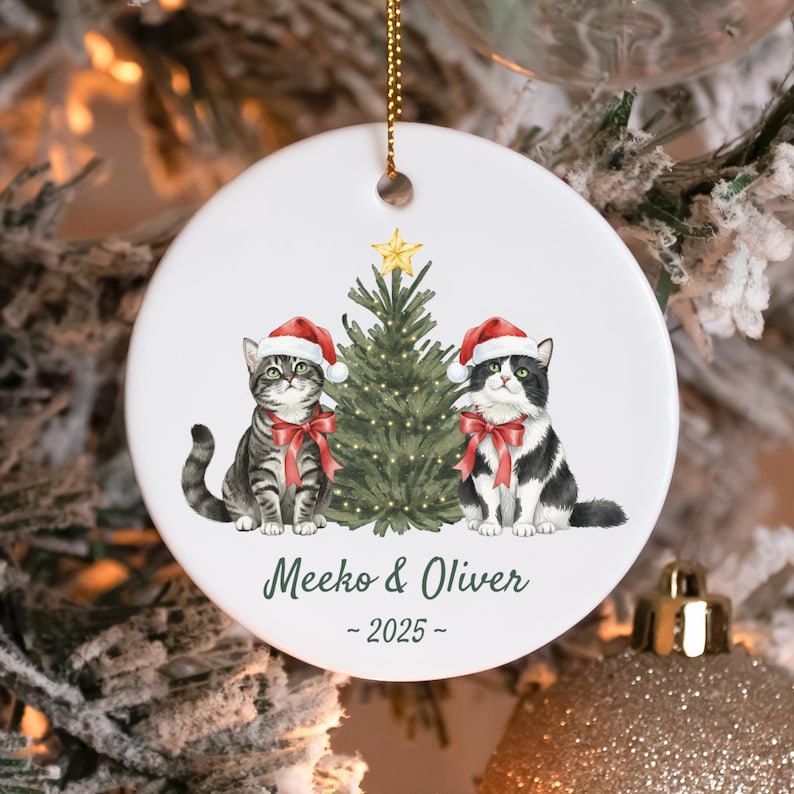 Personalized Cat Christmas Ornament, Custom Pet Ornament, Cat Lover Holiday Gift, Cat Keepsake
