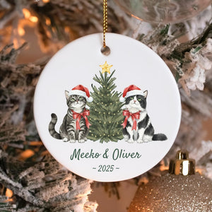 Personalized Cat Christmas Ornament, Custom Pet Ornament, Cat Lover Holiday Gift, Cat Keepsake