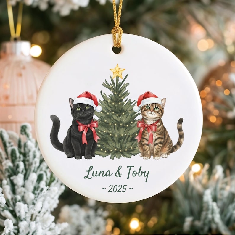 Personalized Cat Christmas Ornament, Custom Pet Ornament, Cat Lover Holiday Gift, Cat Keepsake