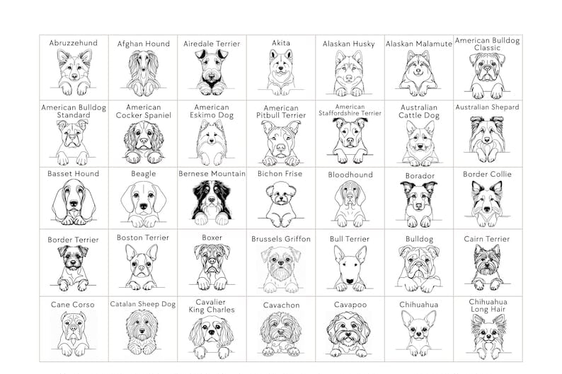 Personalised Dog Walker Ornament | Christmas Gift | Pet Bauble | Stocking Filler | Keepsake