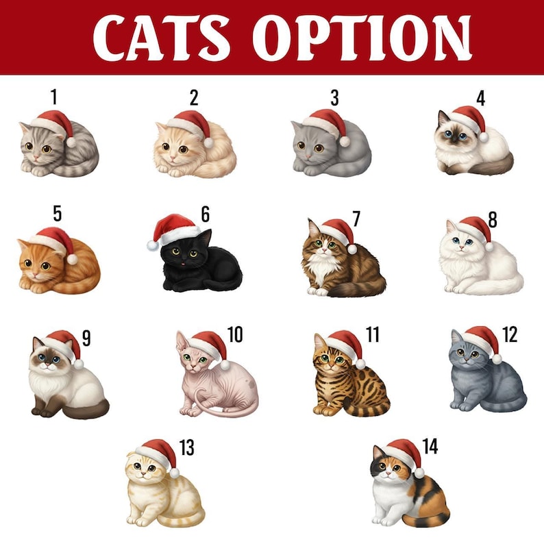 Personalized Gingerbread House Ornament, Family Christmas 2025, Custom Snowman Keepsake, Cat Lover Xmas Gift, New Home Decoration Tree Decor