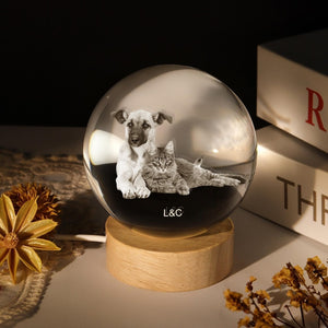 Personalized Crystal Photo Ball, Pet Dog Portrait Night Light, Photo Crystal Light, Christmas Gift, Custom Photo Gift, Pet Loss Gift