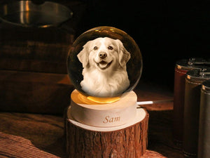 Personalized Round 3D Crystal Pet Photo with LED Base - Custom Laser Engraved Photo Gift, Pet Lovers Decor
