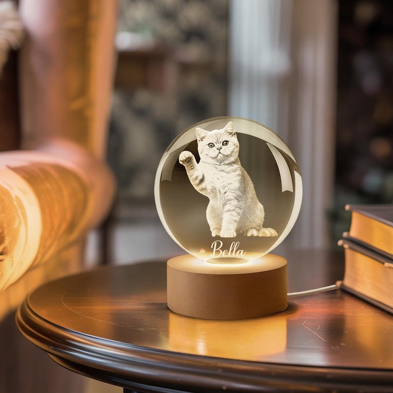 Personalized Crystal Photo Ball, Pet Dog Portrait Night Light, Photo Crystal Light, Christmas Gift, Custom Photo Gift, Pet Loss Gift