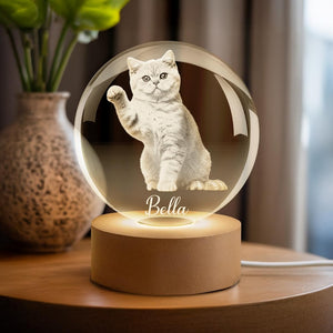Personalized Crystal Photo Ball, Pet Dog Portrait Night Light, Photo Crystal Light, Christmas Gift, Custom Photo Gift, Pet Loss Gift