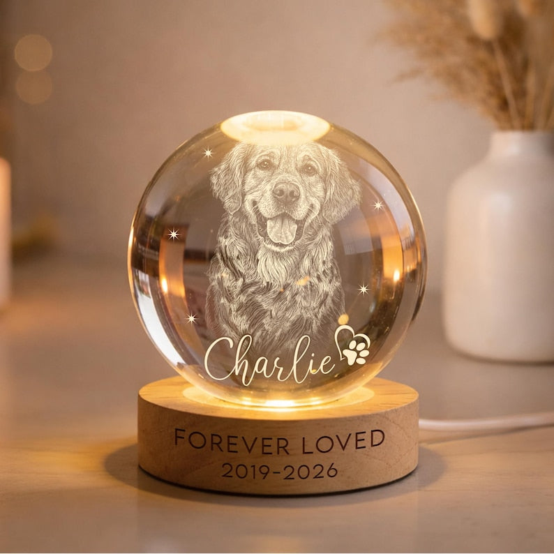 Personalized Pet Memorial Night Light, Pet Portrait Crystal Ball Night Light, Photo Crystal Light, Pet Loss, Pet Memorial Gift for Dog, Cat