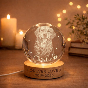 Personalized Pet Memorial Night Light, Pet Portrait Crystal Ball Night Light, Photo Crystal Light, Pet Loss, Pet Memorial Gift for Dog, Cat