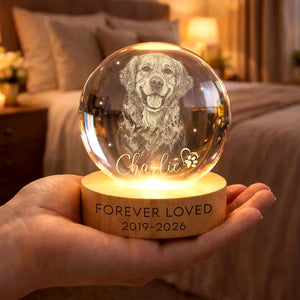 Personalized Pet Memorial Night Light, Pet Portrait Crystal Ball Night Light, Photo Crystal Light, Pet Loss, Pet Memorial Gift for Dog, Cat