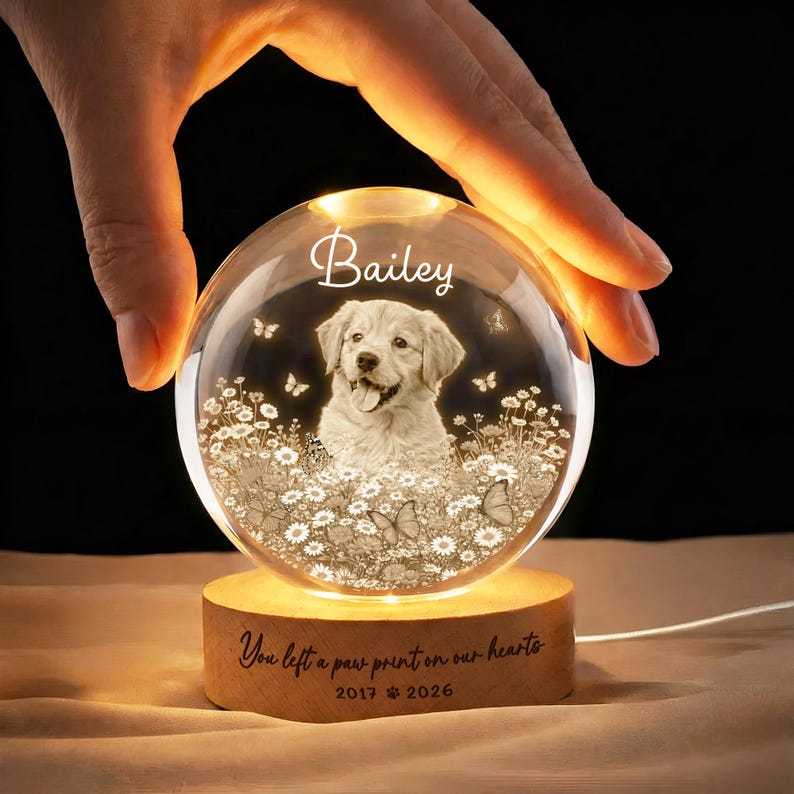 Personalized Photo Pet Memorial Crystal Ball Night Light, Memorial Gift For Pet, Angel Memorial Keepsake, Sympathy Gift