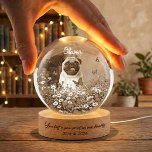 Personalized Dog Memorial Crystal Globe, Custom Pet Tribute, Pet Memorial Night Light, Engraved Pet Keepsake for Dog Lover, Sympathy Gift