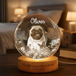 Personalized Dog Memorial Crystal Globe, Custom Pet Tribute, Pet Memorial Night Light, Engraved Pet Keepsake for Dog Lover, Sympathy Gift