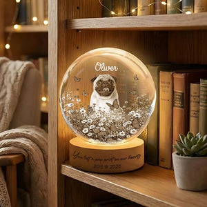 Personalized Dog Memorial Crystal Globe, Custom Pet Tribute, Pet Memorial Night Light, Engraved Pet Keepsake for Dog Lover, Sympathy Gift