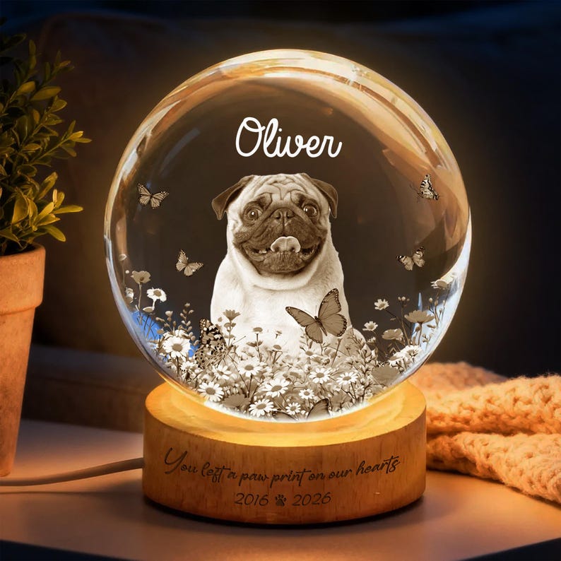 Personalized Dog Memorial Crystal Globe, Custom Pet Tribute, Pet Memorial Night Light, Engraved Pet Keepsake for Dog Lover, Sympathy Gift