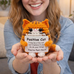 Emotional Support Desk Buddy, Custom Crochet Cat Doll, Funny Coworker Gift, Pawsitive Affirmation Decor, Cat Lover Gift, Cheer Up Gift