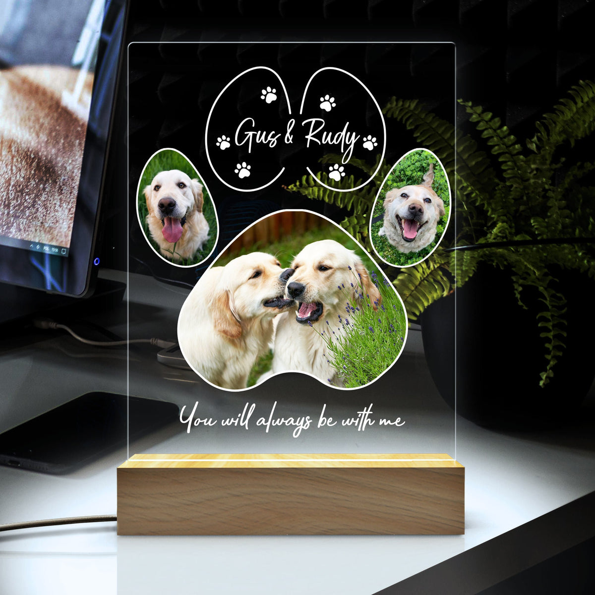 Pet Memorial Night Light, Custom Pet Plaque, Pet Night Light, Custom Pet Photo Gifts, Pet Memorial Frame, Gifts for Pets, Cat Dog Loss Gift