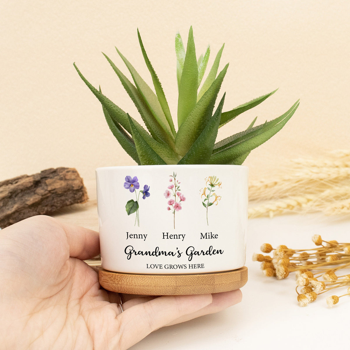 Custom Grandma's Garden Mini Plant Pot, Gift for Mom,Personalized Birth Flower Pots,Grandma Gifts,Outdoor Planter,Birthday Gift,Family Art
