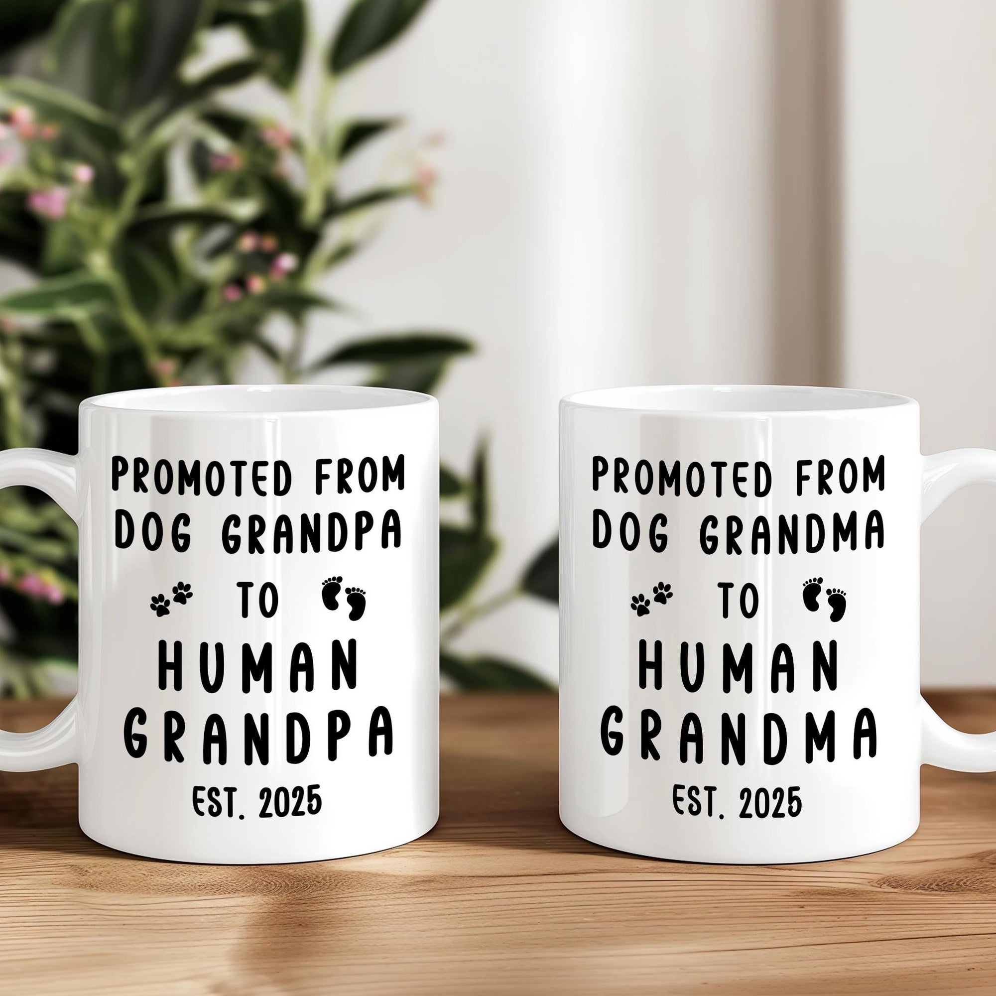Customized Grandma Grandpa Mug, Baby Announcement Gift, Pregnancy Announcement Mug, Promoted from Dog to Human, Promoted to Grandparents