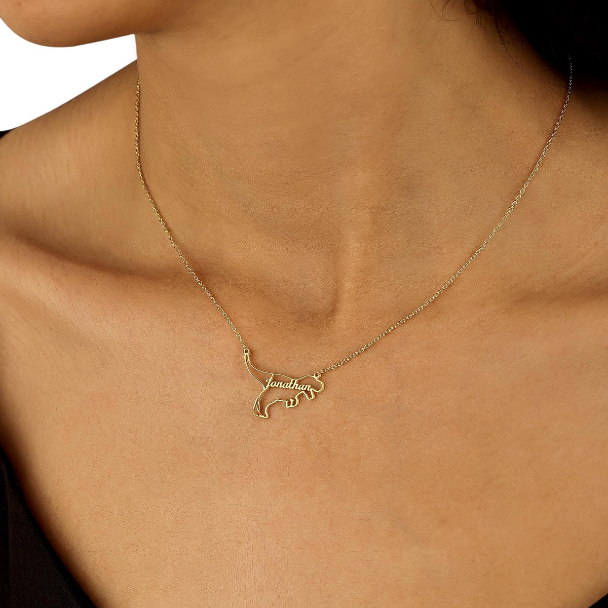 Personalized Dinosaur Necklaces, Kids Name Necklace, T-Rex Jewelry, Dainty Petite Dinosaur Charm, Mothers Day Gift