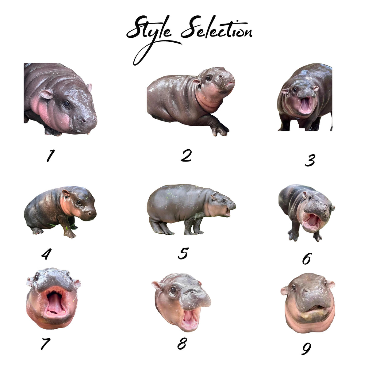 Hippo pillow | moo | pygmy hippopotamus | custom photo pillow | custom pillow | funny gifts