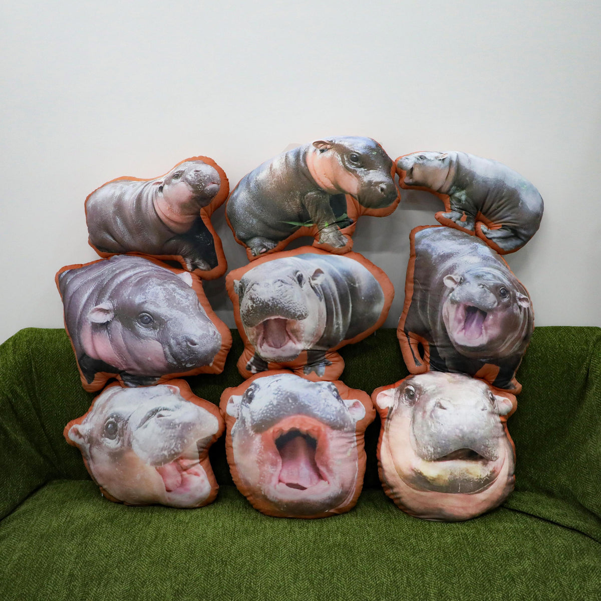 Hippo pillow | moo | pygmy hippopotamus | custom photo pillow | custom pillow | funny gifts