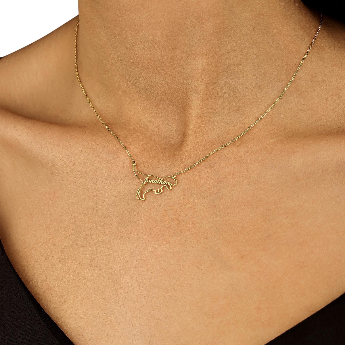 Personalized Dinosaur Necklaces, Kids Name Necklace, T-Rex Jewelry, Dainty Petite Dinosaur Charm, Mothers Day Gift