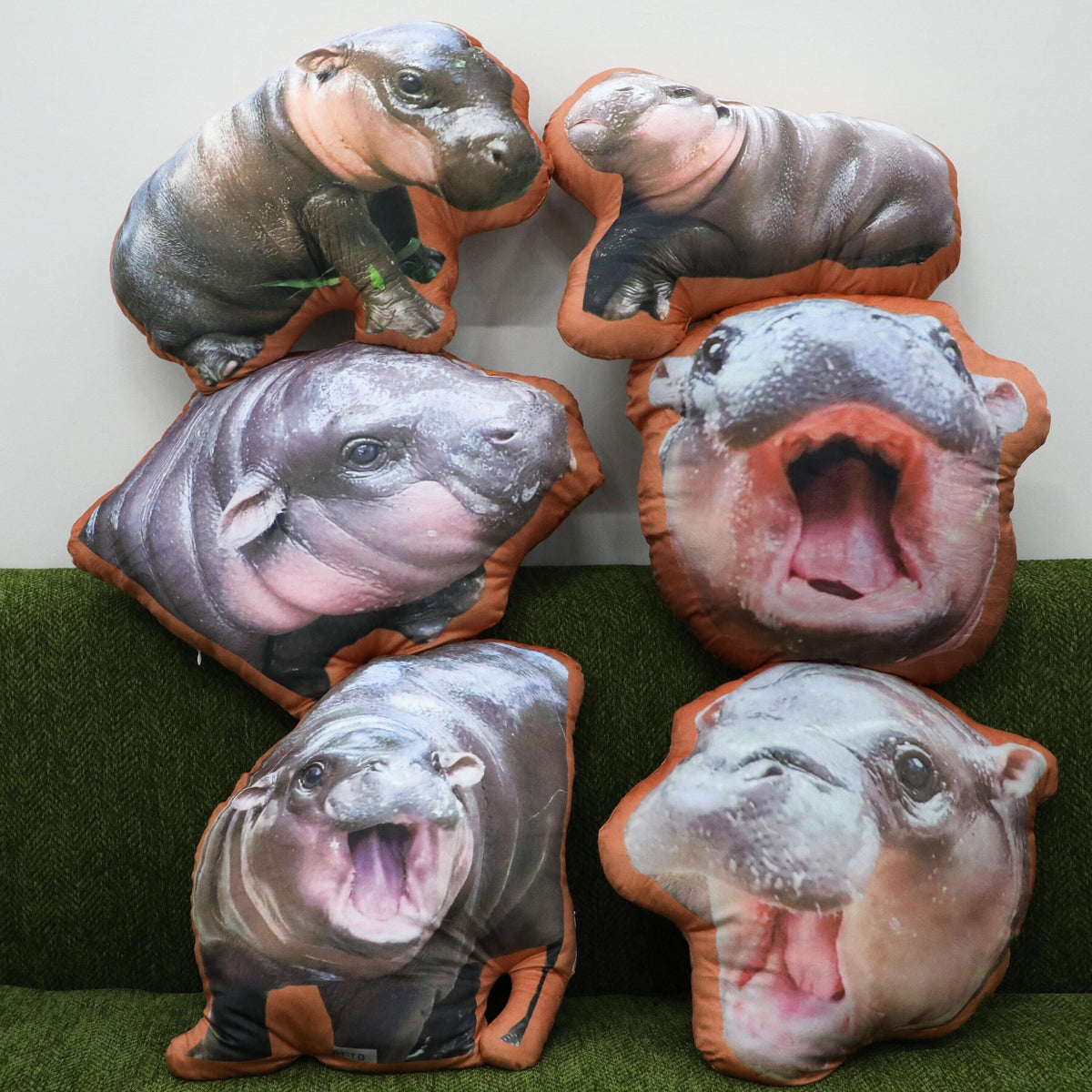 Hippo pillow | moo | pygmy hippopotamus | custom photo pillow | custom pillow | funny gifts
