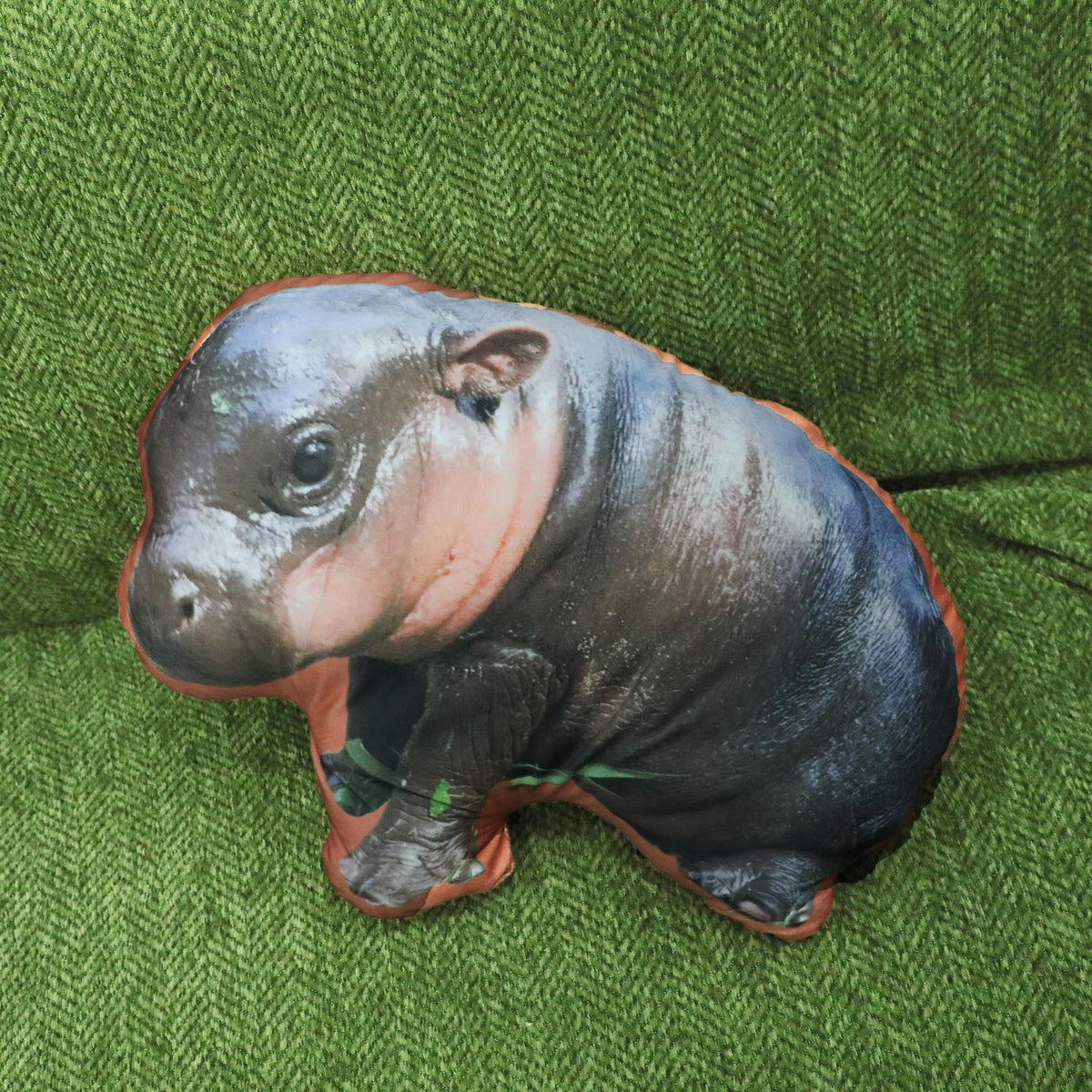 Hippo pillow | moo | pygmy hippopotamus | custom photo pillow | custom pillow | funny gifts
