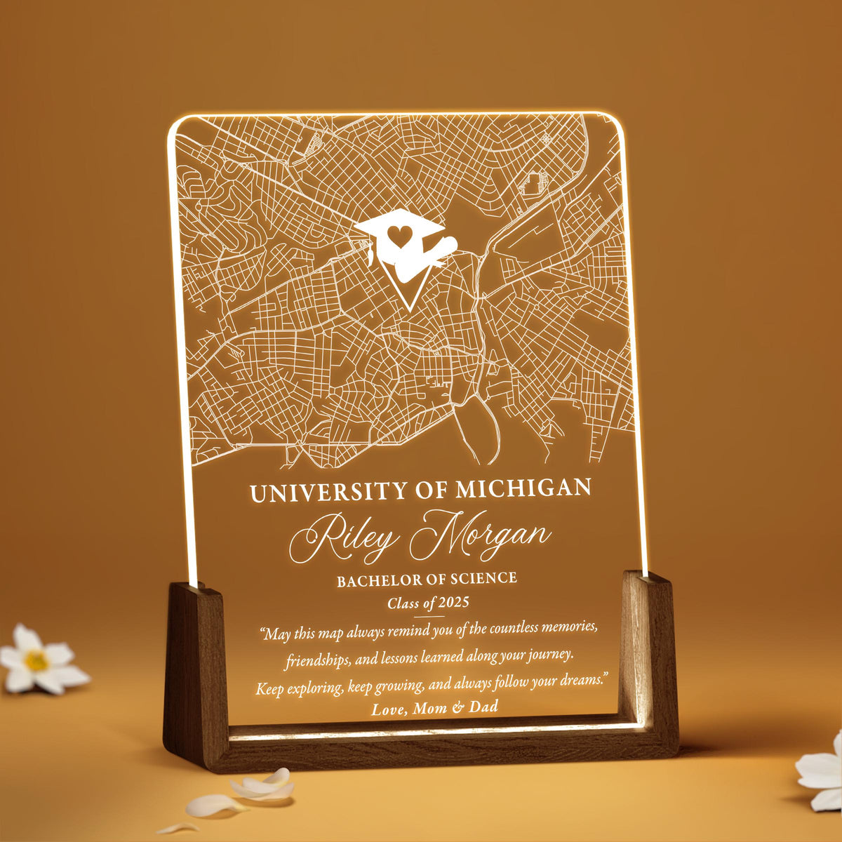 Personalized School Map Graduation Plaque, Custom College Map LED Night Lamp, Unique Gifts for Graduate, Seniors, Highschool