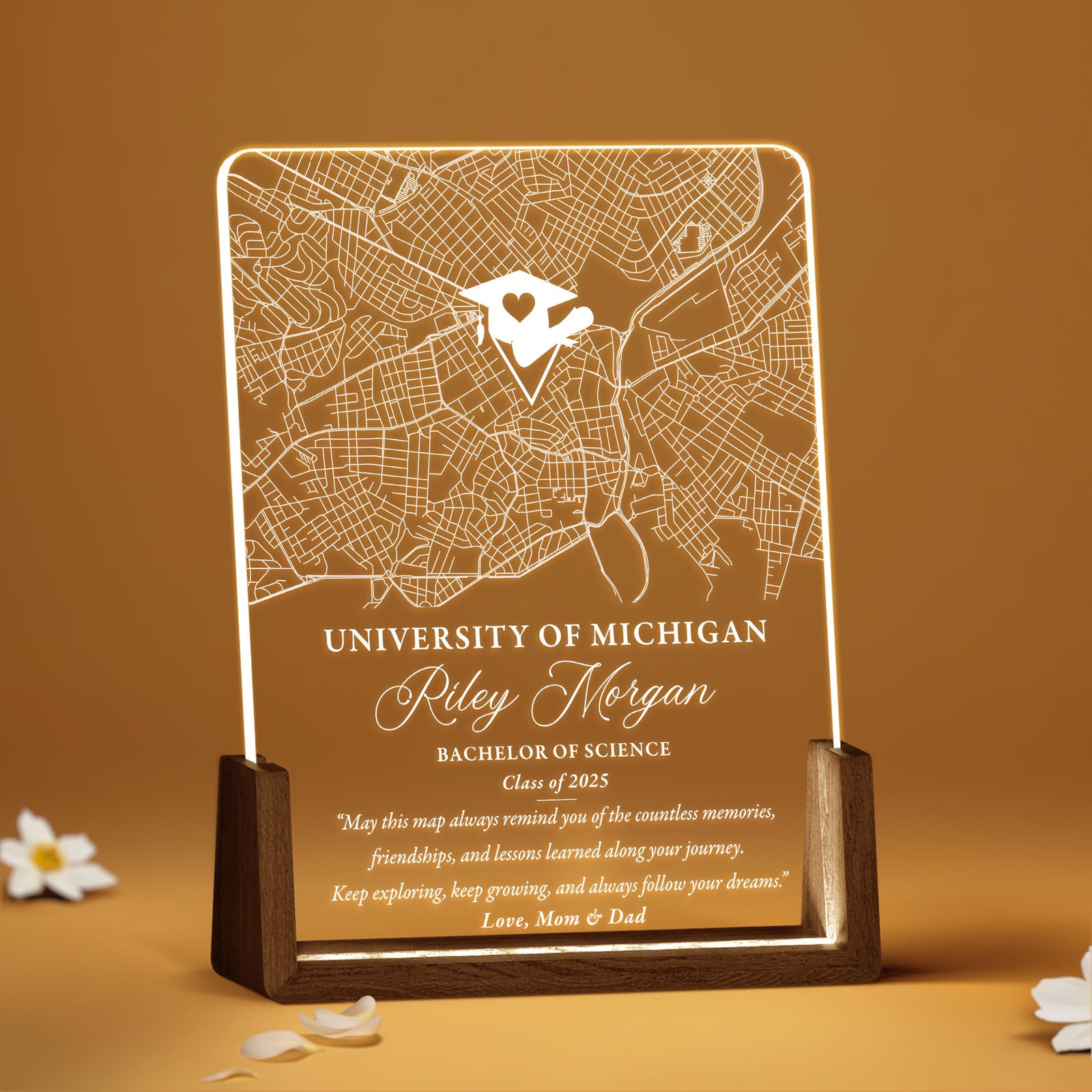 Personalized School Map Graduation Plaque, Custom College Map LED Night Lamp, Unique Gifts for Graduate, Seniors, Highschool