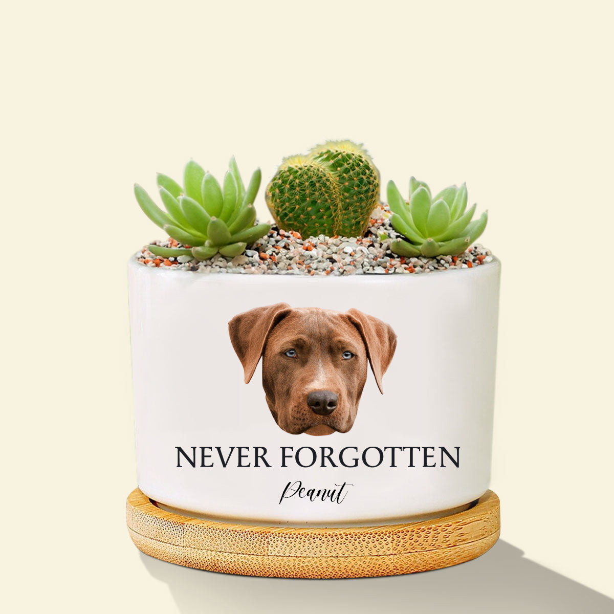 Never Forgotten Custom Dog Photo Memorial Planter, Dog Memorial Plant Pot, Loss of Pet Gift, Personalized Gift Plant Pot, Loss of Dog,Pet Memorial Keepsake