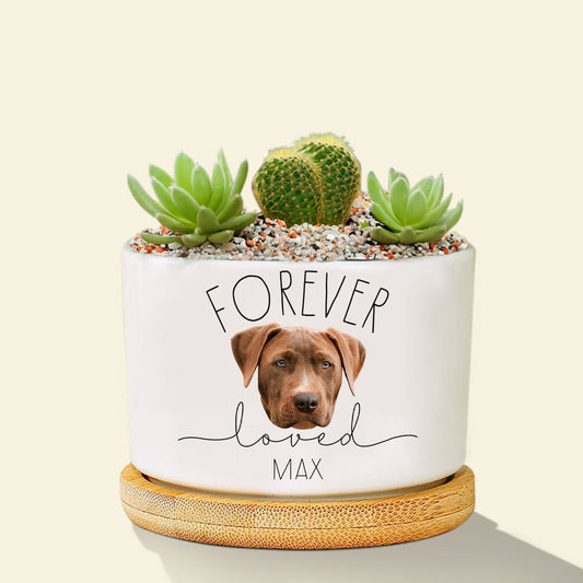 Custom Dog Photo Memorial Planter, Dog Memorial Plant Pot, Loss of Pet Gift, Personalized Gift Plant Pot, Loss of Dog,Pet Memorial Keepsake