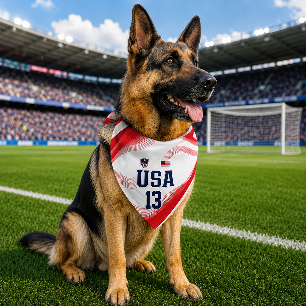 Custom USA World Football Pet Bandana - Personalized Birthday Gifts For Football Dog Cat Lovers, Dog Dad And Mom, Cat Owners