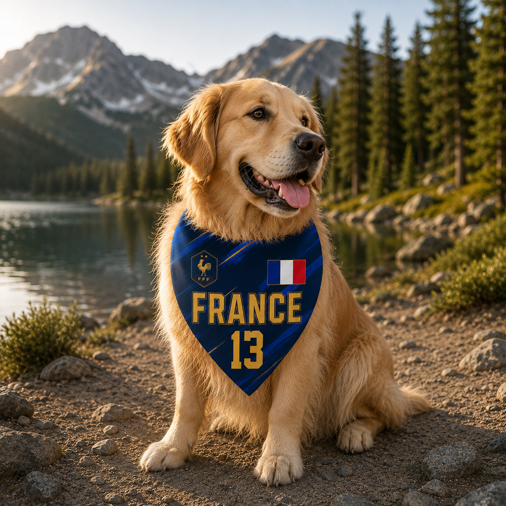 Custom USA World Football Pet Bandana - Personalized Birthday Gifts For Football Dog Cat Lovers, Dog Dad And Mom, Cat Owners