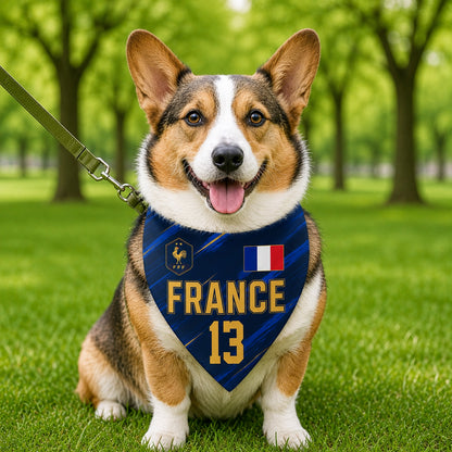 Custom USA World Football Pet Bandana - Personalized Birthday Gifts For Football Dog Cat Lovers, Dog Dad And Mom, Cat Owners