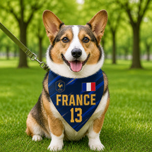 Custom USA World Football Pet Bandana - Personalized Birthday Gifts For Football Dog Cat Lovers, Dog Dad And Mom, Cat Owners