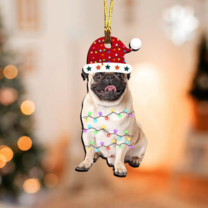 Pet With Hat - Custom Photo, Personalized Acrylic Ornament - Gift For Christmas, Pet Lover Gift