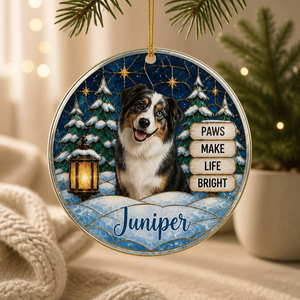 Paws Make Life Bright – Personalized Photo Ornament – Christmas Gift mockup-product-6aa1295c63d870cbb8577579.png