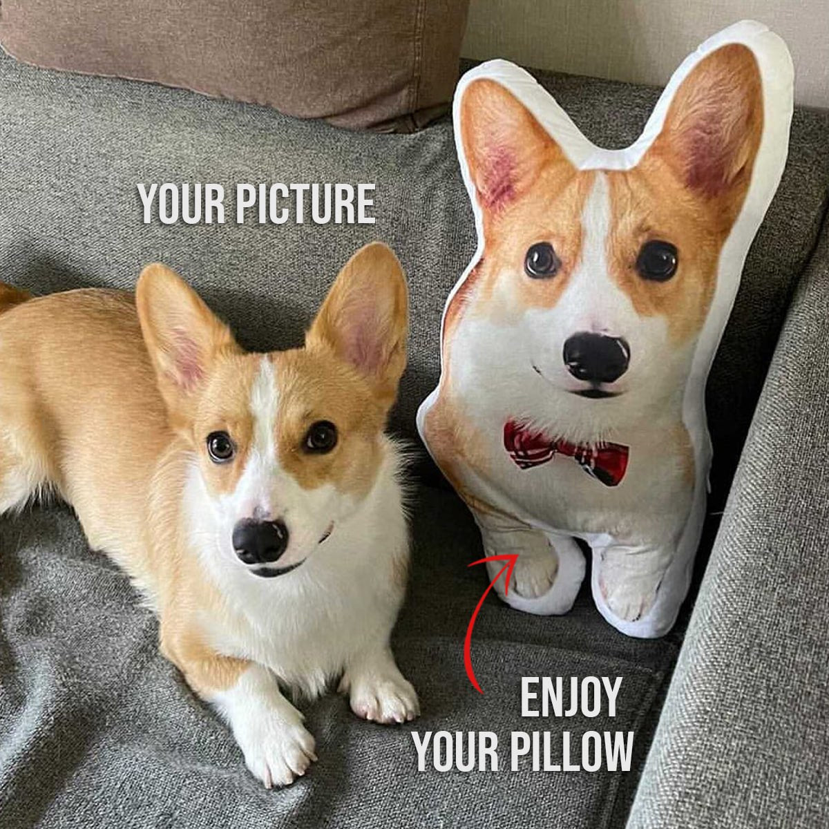 Dog Picture Pillow Custom Pet Pillow Dog Pillows Gift Custom 3D Pet Pillow from Photo | Personalized Dog/Cat Shaped Throw Pillow