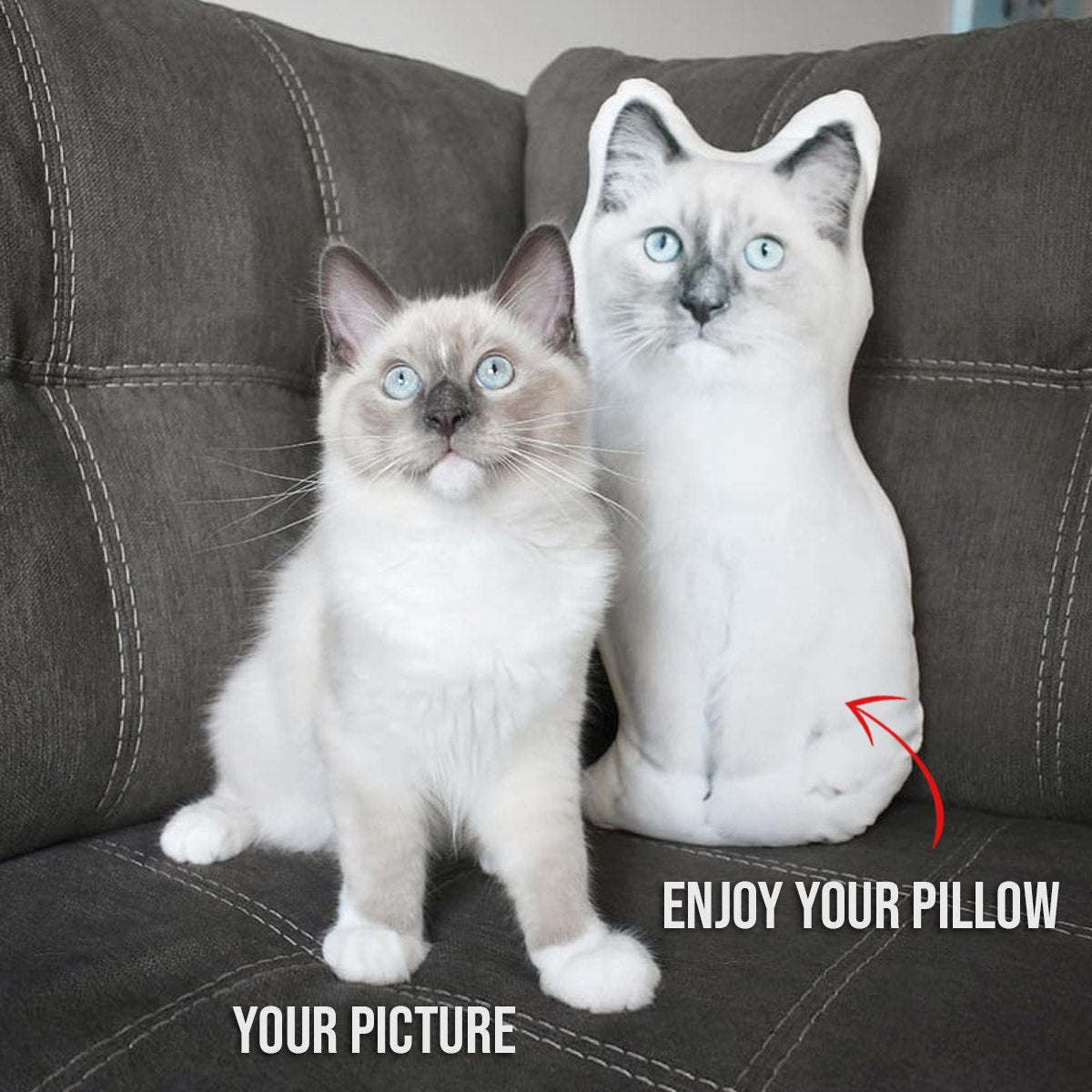 Cat Picture Pillow Custom Pet Pillow Dog Pillows Gift Custom 3D Pet Pillow from Photo | Personalized Dog/Cat Shaped Throw Pillow photo_2024-09-06_09-47-19.jpg
