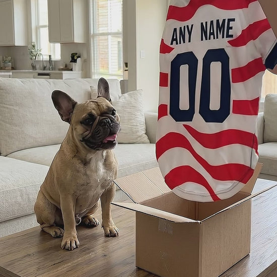 USA Dog Tshirt Pet Clothes Jersey Style Custom Name and Number Pet Clothes Gifts dacf037d-f042-4d38-b460-823447a5f8a4-PSL1779079836683194.mp4