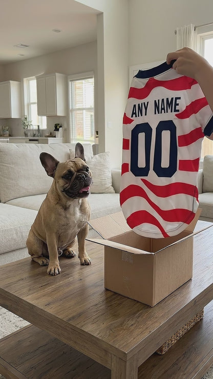 USA Dog Tshirt Pet Clothes Jersey Style Custom Name and Number Pet Clothes Gifts dacf037d-f042-4d38-b460-823447a5f8a4-PSL1779079836683194.mp4