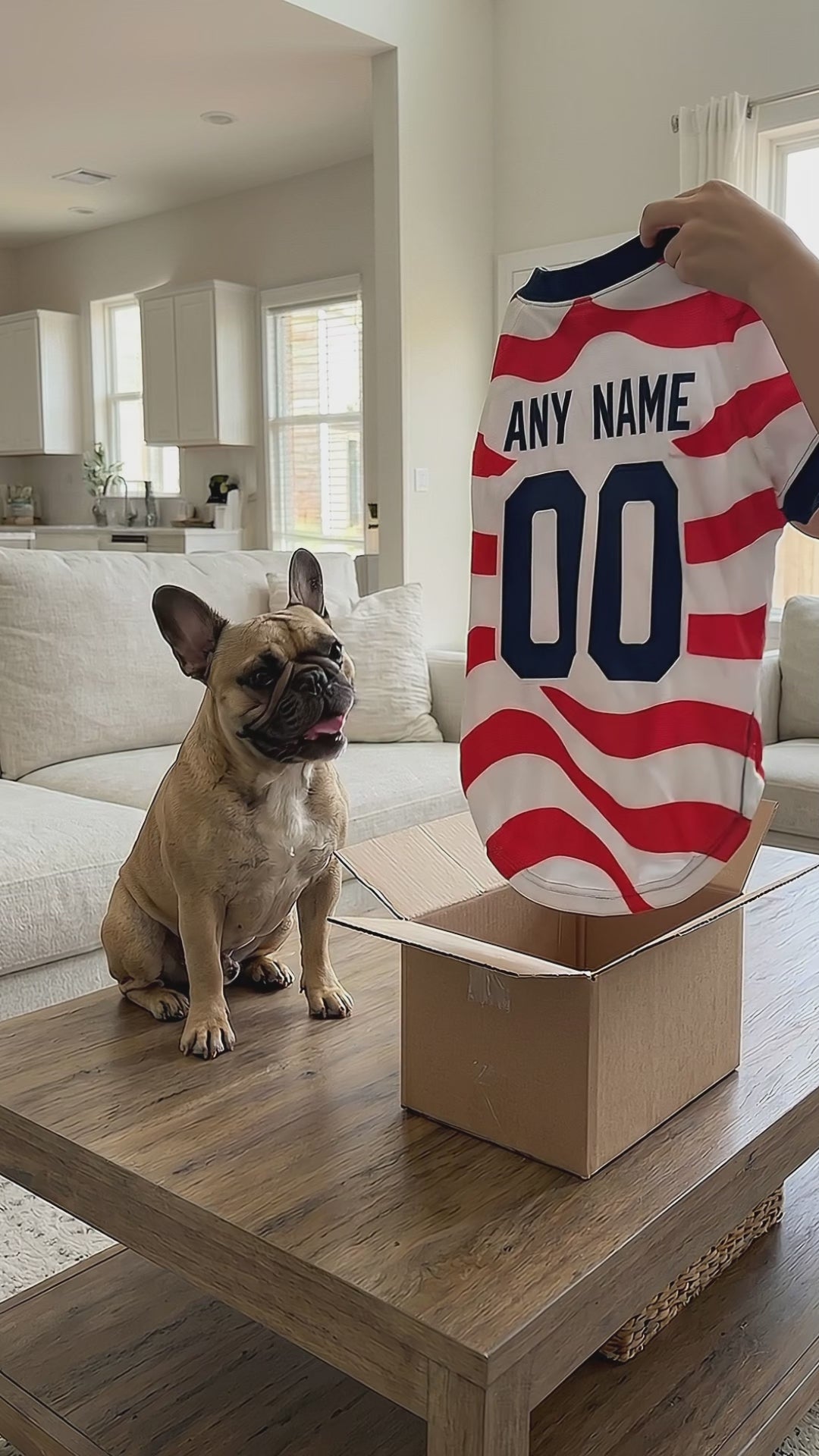 USA Dog Tshirt Pet Clothes Jersey Style Custom Name and Number Pet Clothes Gifts dacf037d-f042-4d38-b460-823447a5f8a4-PSL1779079836683194.mp4