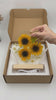 Flower resin lamp, birth flower epoxy lamp, sunflower lights shine brightly in the night, flower resin lamp, flower epoxy lamp, bedside lamp 1a9e7f94-6819-4b82-8a40-8578bf45cbcd-PSL1753762577605217.mp4